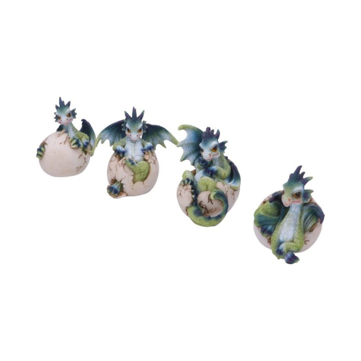 Hatchlings Emergence (Set