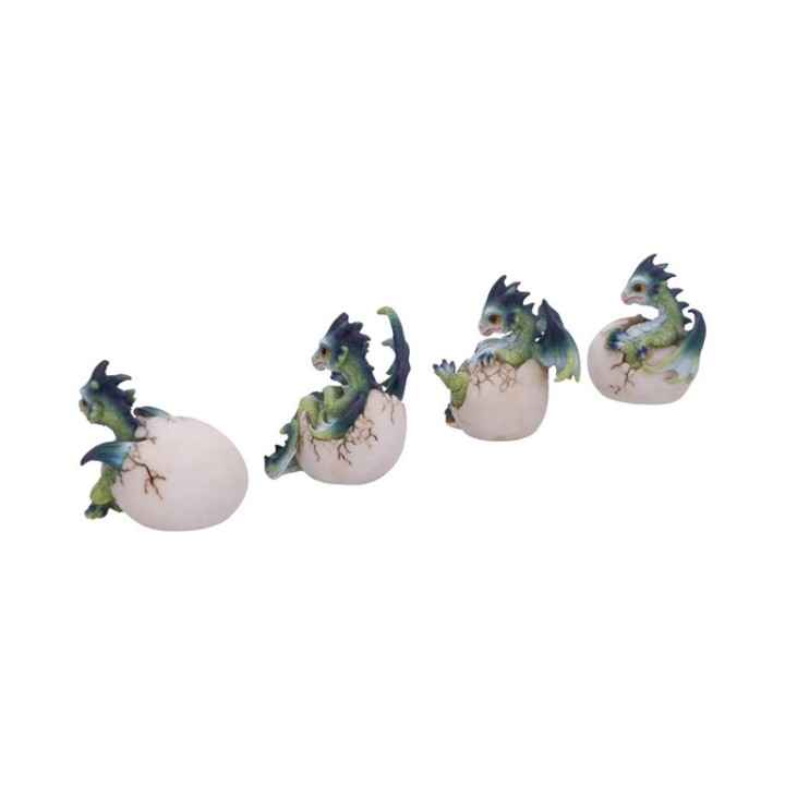 Hatchlings Emergence (Set