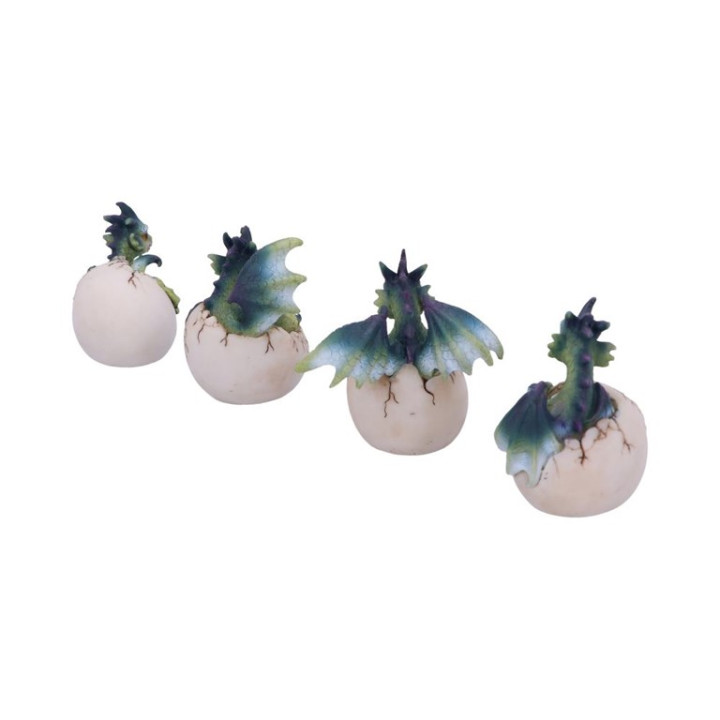 Hatchlings Emergence (Set