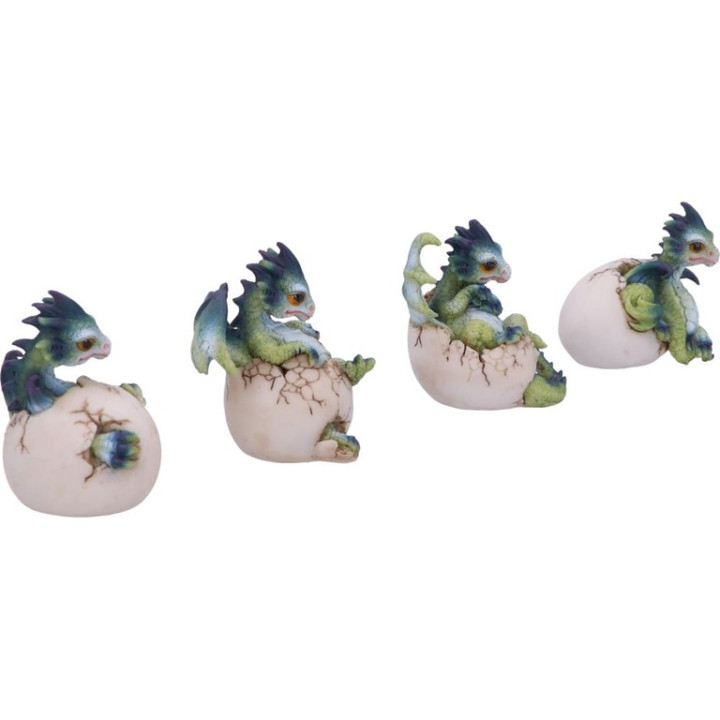 Hatchlings Emergence (Set