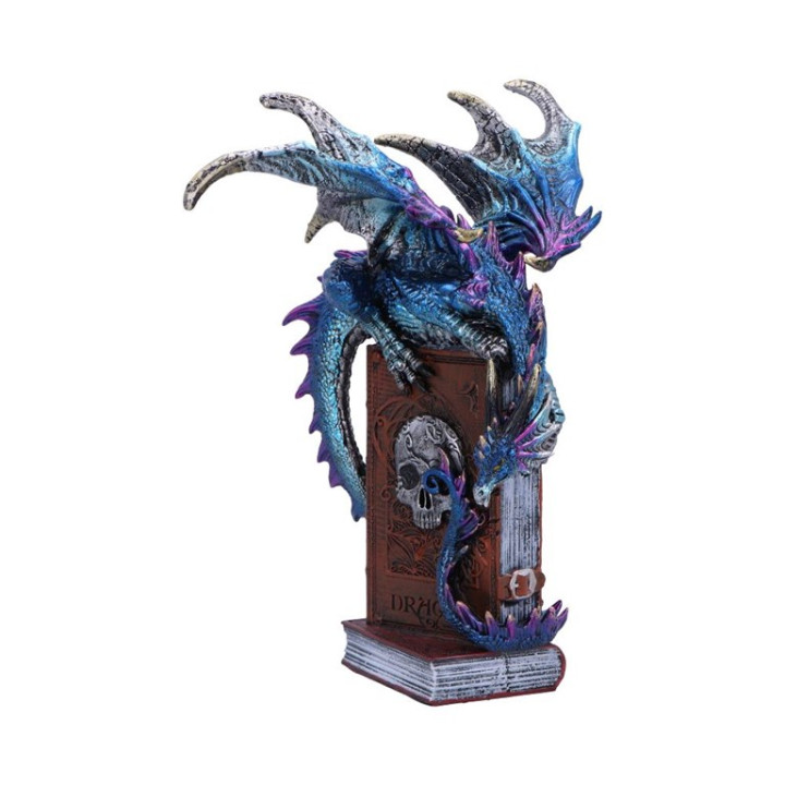 A Tale of Dragons 22cm