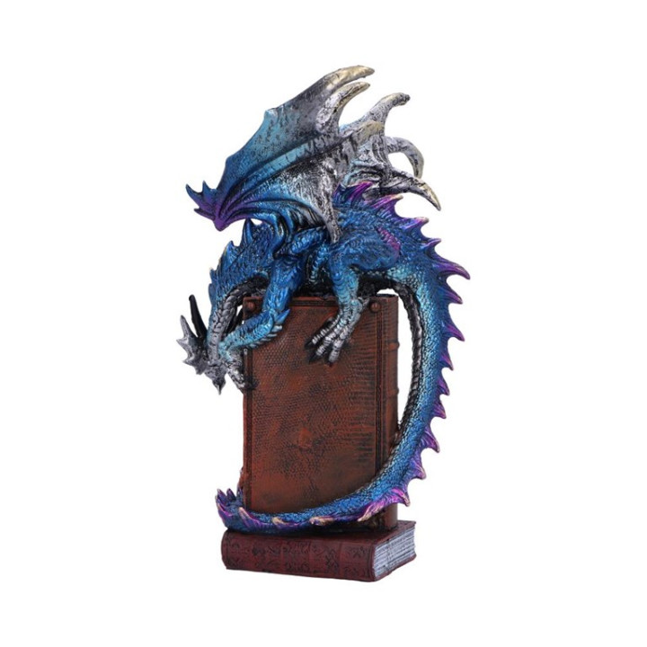 A Tale of Dragons 22cm
