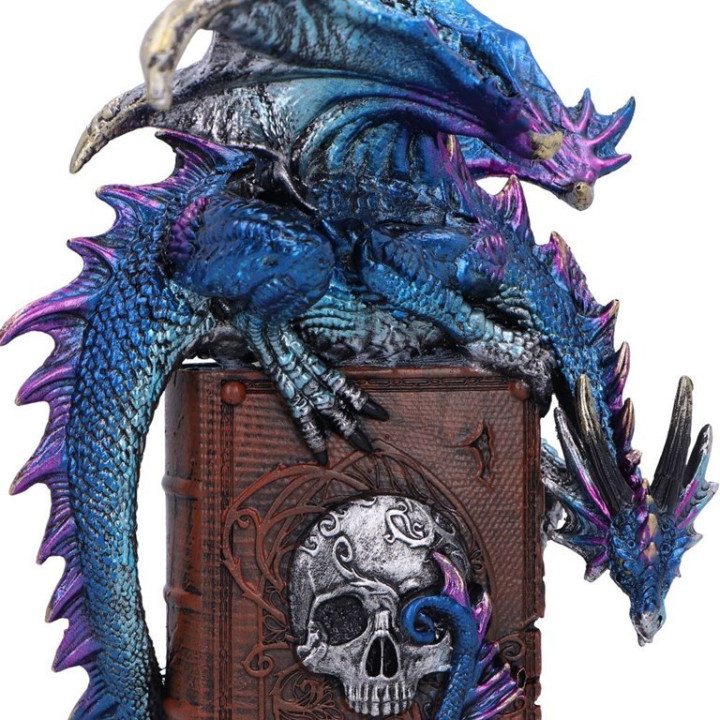 A Tale of Dragons 22cm