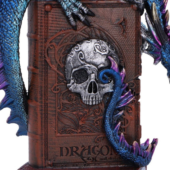A Tale of Dragons 22cm