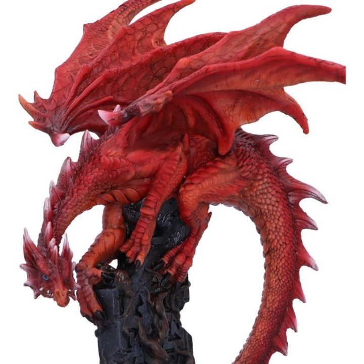 Draconic Roots 28.5cm