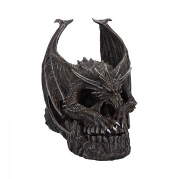 Draco Skull 19cm...