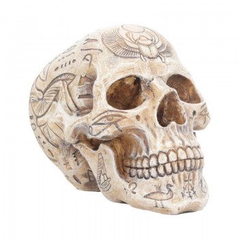 Hieroglyphic Skull 15cm