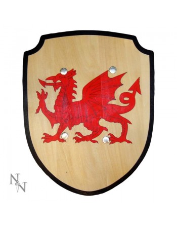 Welsh Shield 34cm