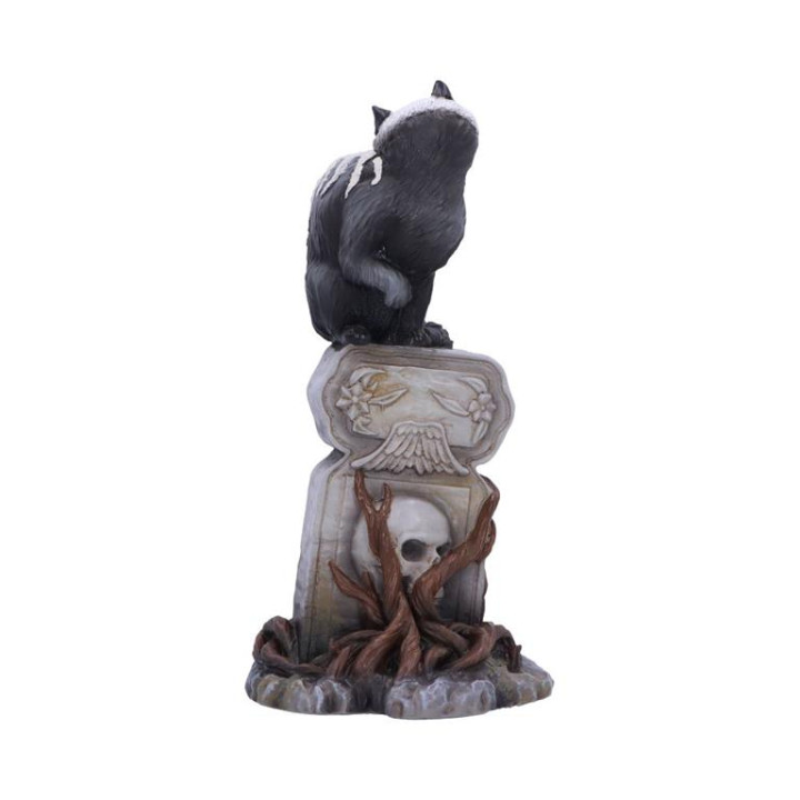 Skull Cat by Martin Hanfo