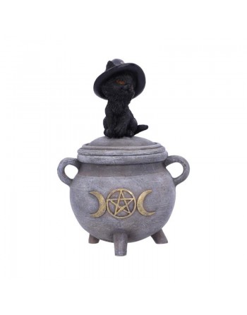 Kitty's Brew 14cm