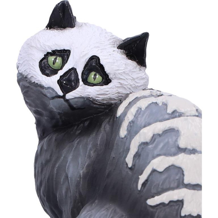 Skull Cat by Martin Hanfo