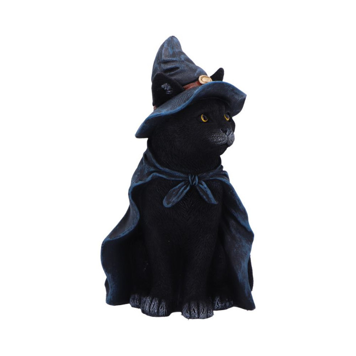 Bewitching 18.5cm