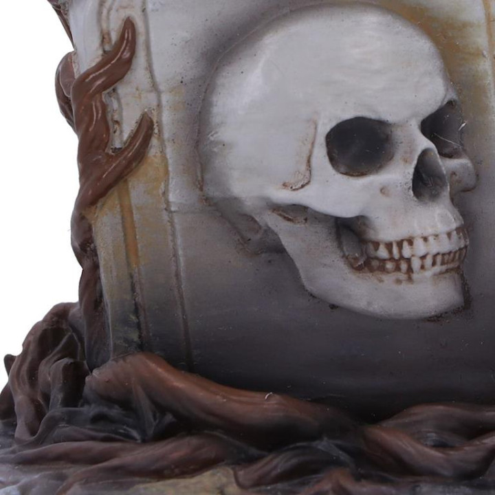 Skull Cat by Martin Hanfo