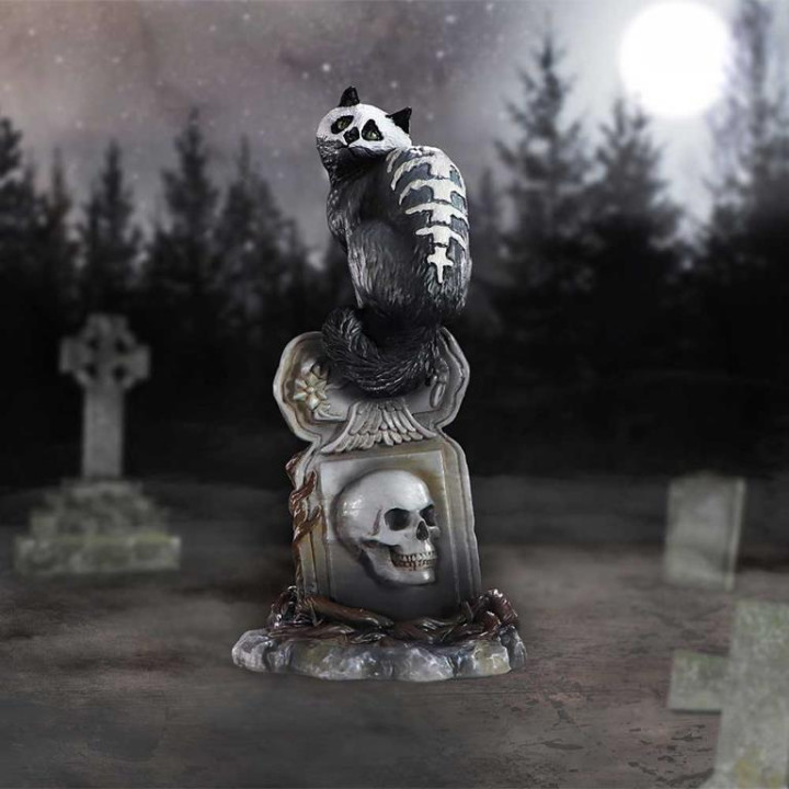 Skull Cat by Martin Hanfo