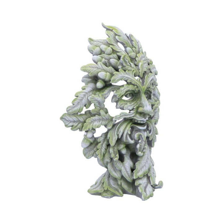 Forest Ancient 30cm