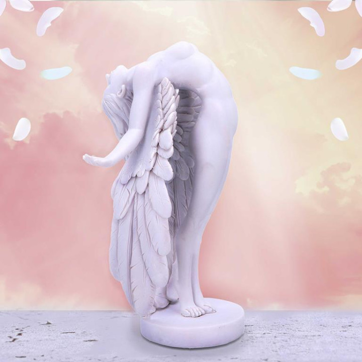 Angels Liberation 26.5cm