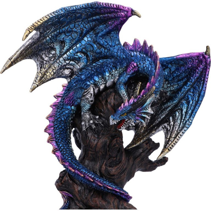 Ealdwoode 27.5cm