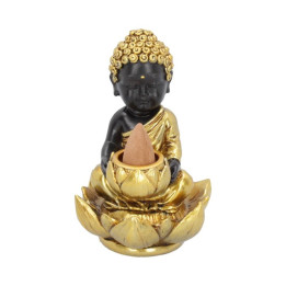 Baby Buddha Backflow Ince