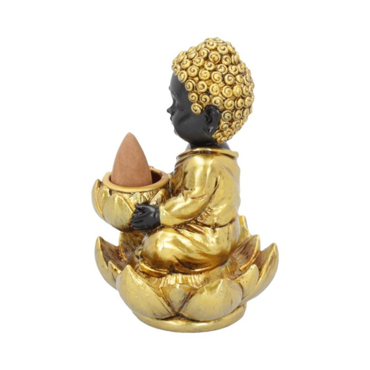 Baby Buddha Backflow Ince