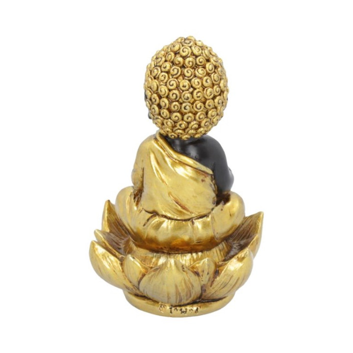 Baby Buddha Backflow Ince
