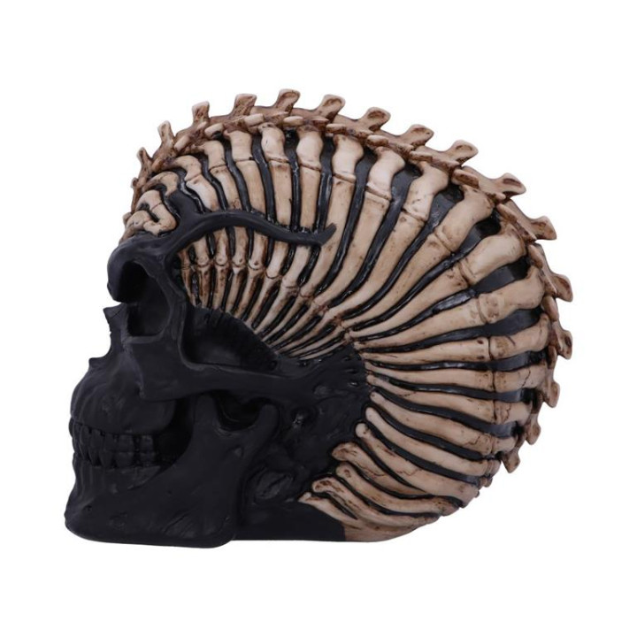 Spine Head Skull (JR) 18.