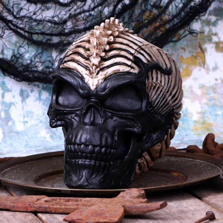 Spine Head Skull (JR) 18.