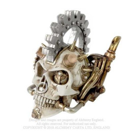 Steam head Skull