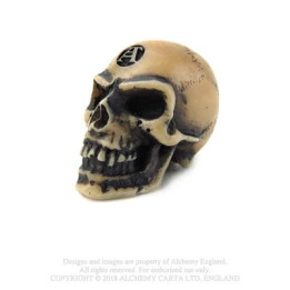 Lapillus Worry - Skull