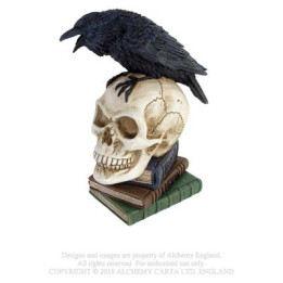 Poes Raven - Skull