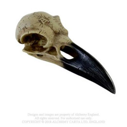 Corvus Alchemica - Skull