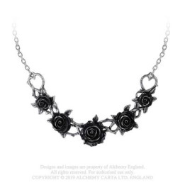 Rose Briar