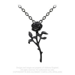 The Romance of Black Rose