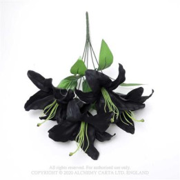 Black Lily Bunch