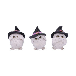 Three Wise Feathered Fami