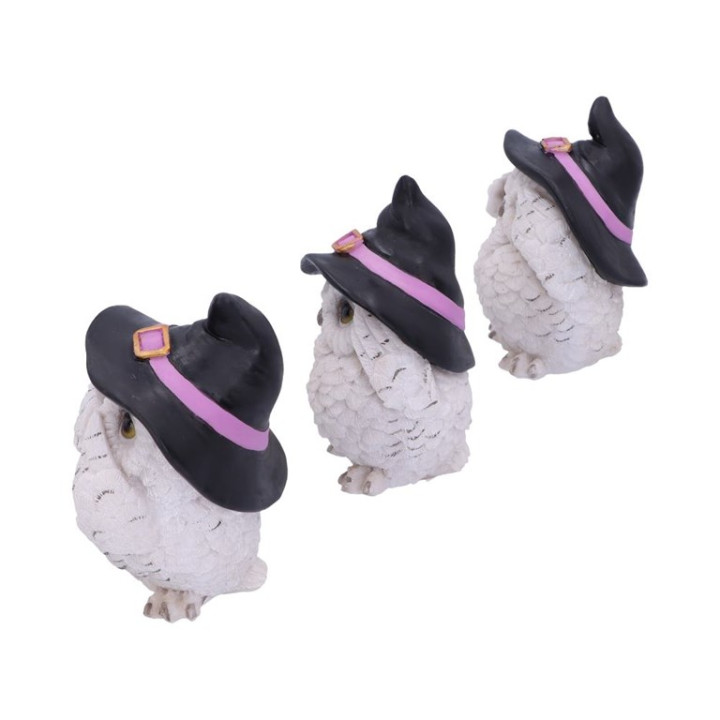 Three Wise Feathered Fami