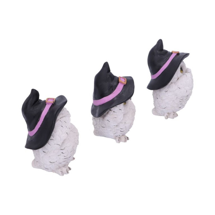 Three Wise Feathered Fami