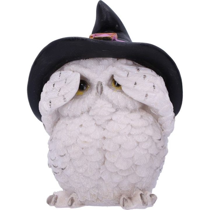 Three Wise Feathered Fami