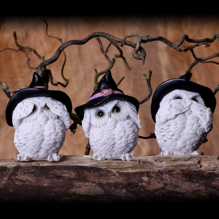 Three Wise Feathered Fami