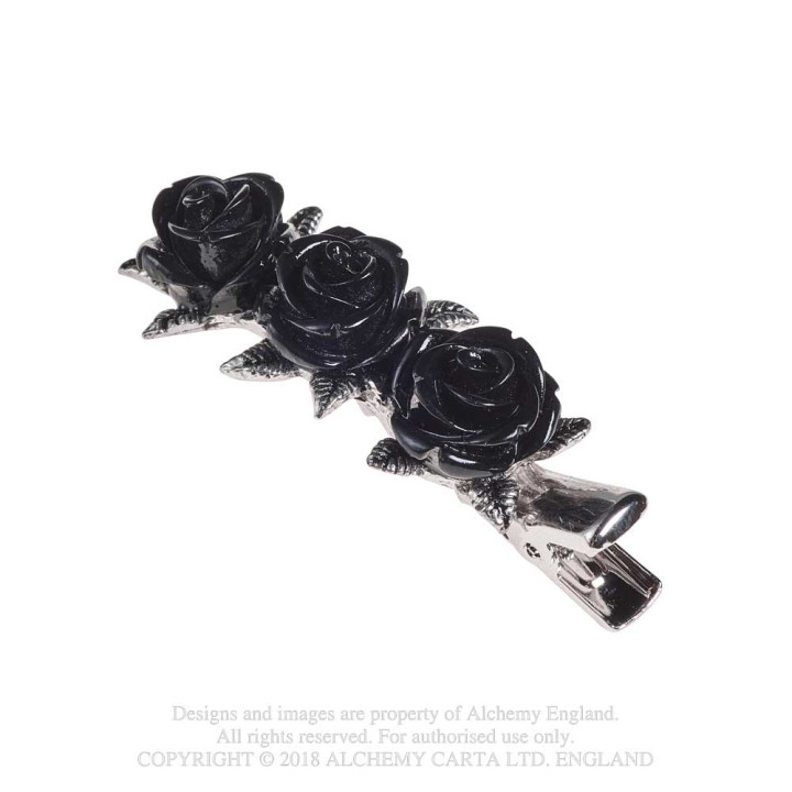 Wild Black Rose
