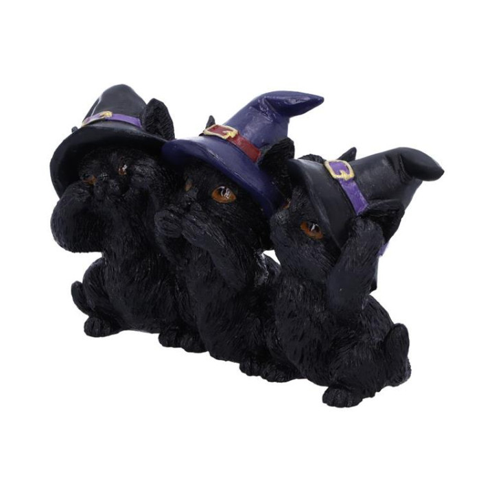 Three Wise Black Cats 11.