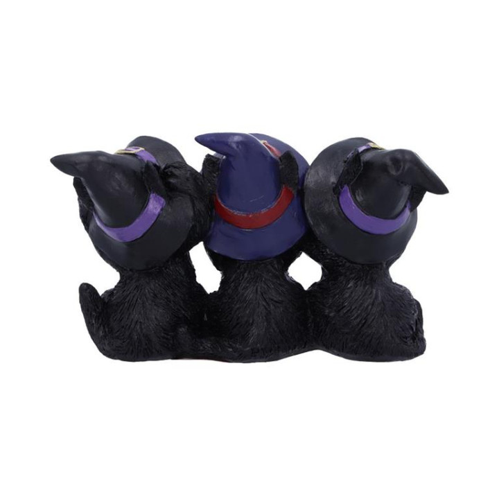 Three Wise Black Cats 11.