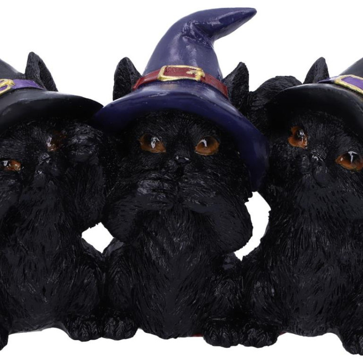 Three Wise Black Cats 11.
