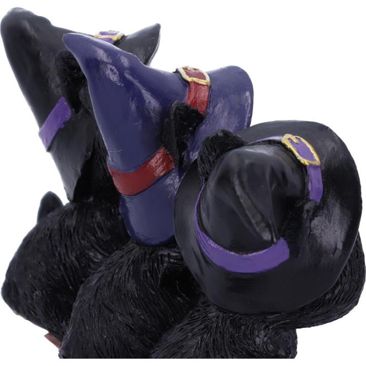 Three Wise Black Cats 11.