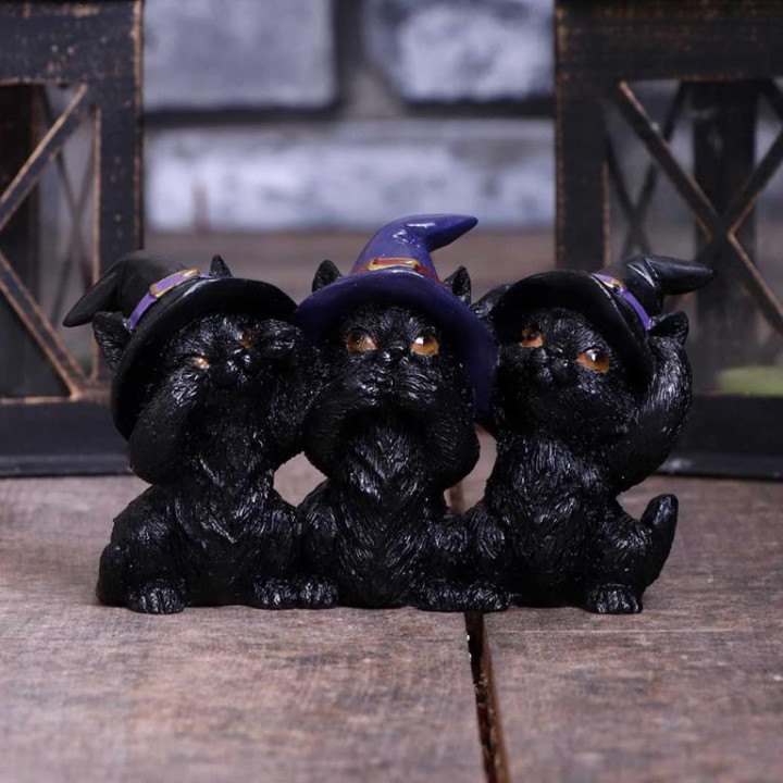 Three Wise Black Cats 11.