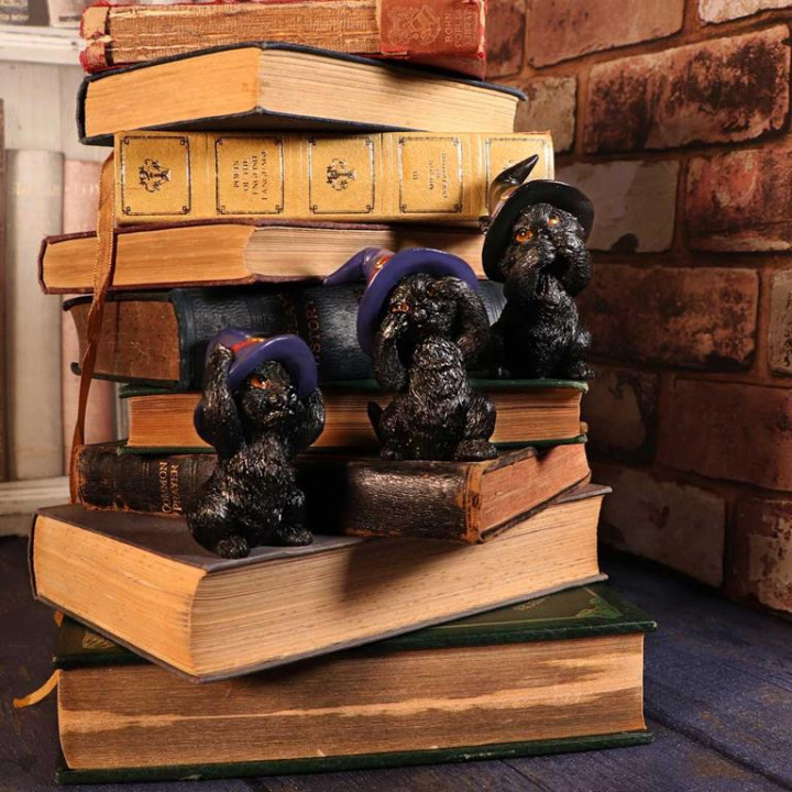Three Wise Familiars 9.2c