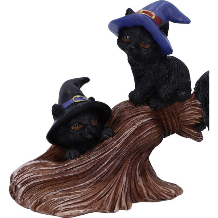 Purrfect Broomstick 27.5c