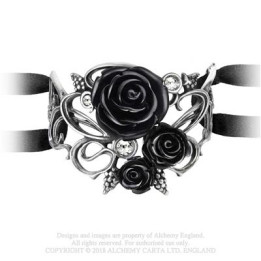 Bacchanal Rose