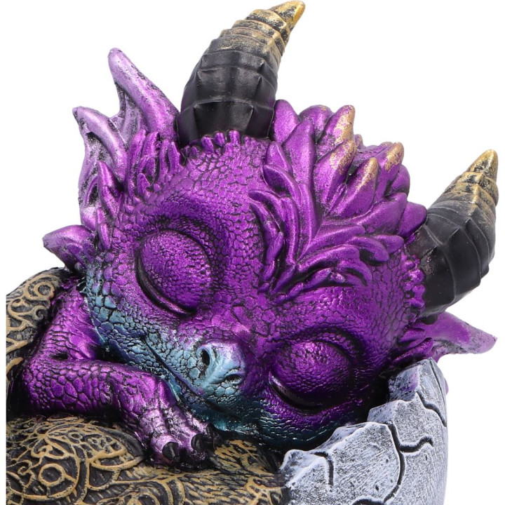Shellbound Slumber 9.5cm