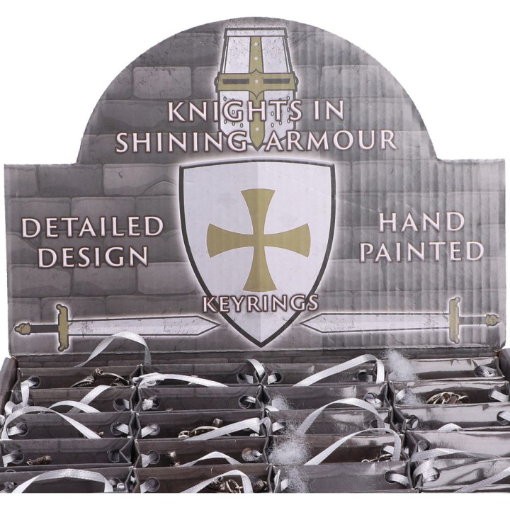 Knights in Shining Armour