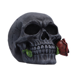 The Last Rose (Pack of 2)